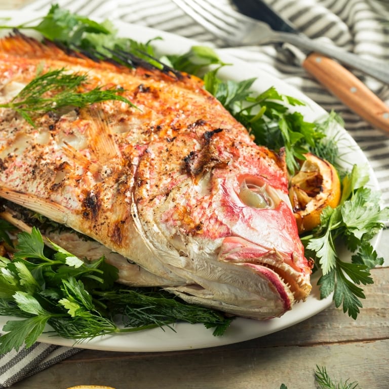 Delicious Snapper Dishes